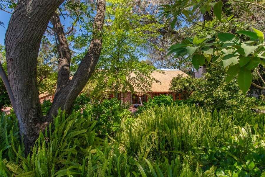 11 Bedroom Property for Sale in Franschhoek Rural Western Cape